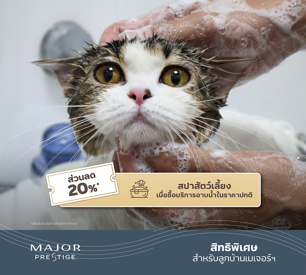 250321hato_linecardmessage