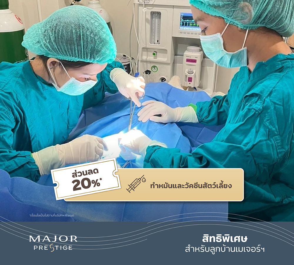 250321hato_linecardmessage_1