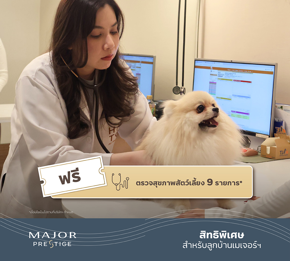 250321hato_linecardmessage_2