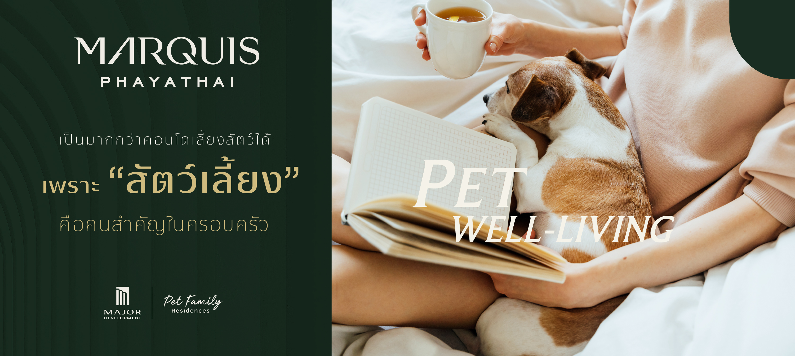 250224contentmqs_pytpetwe_1