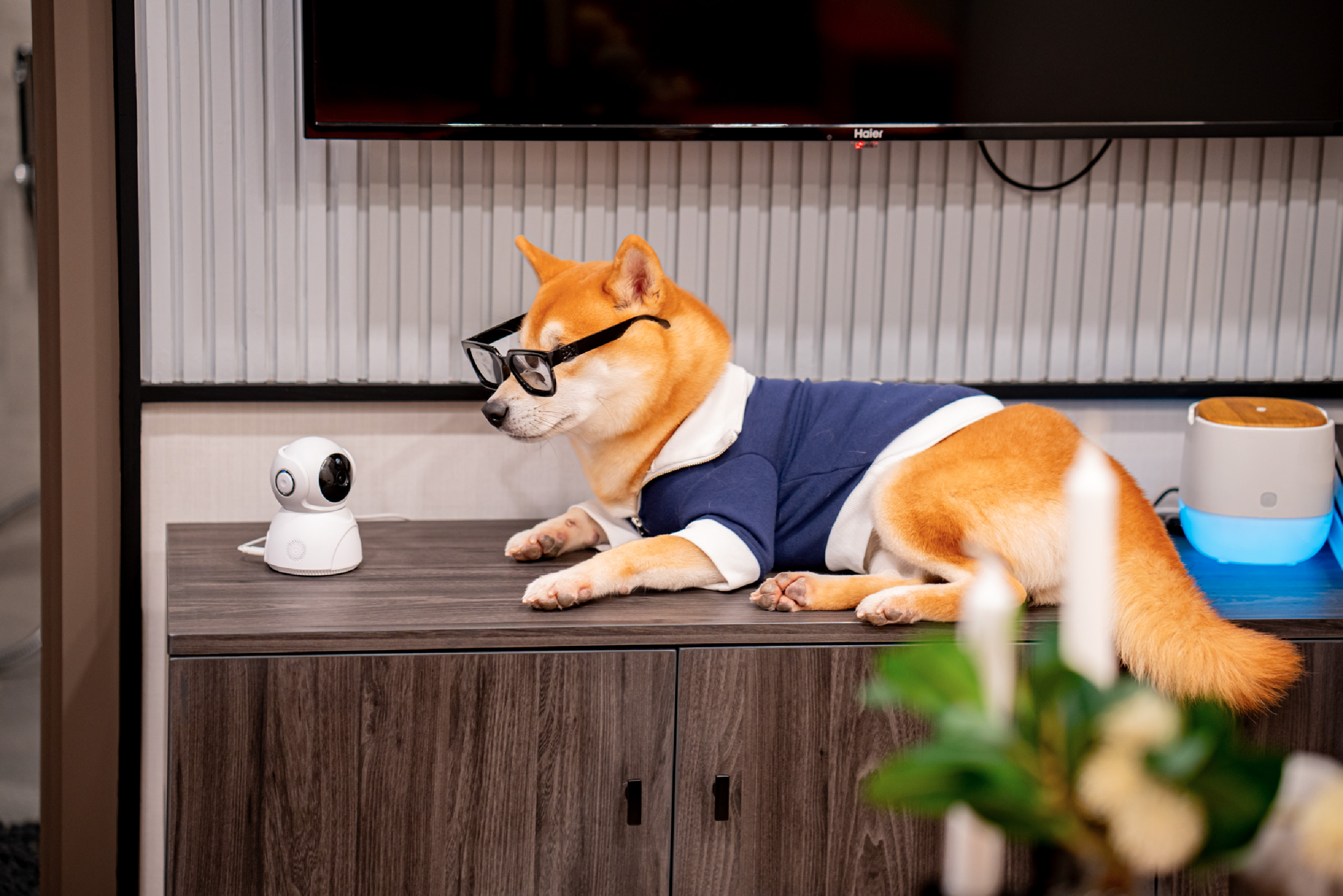 mtr_dlpfullreview-39