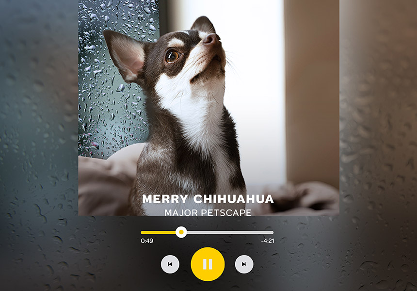 02_pet_playlist_aw-01