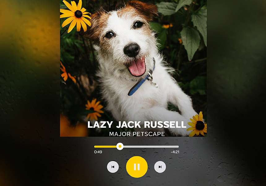 02_pet_playlist_aw-02