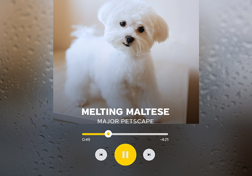 02_pet_playlist_aw-03