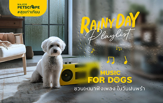 02_pet_playlist_thumbnail