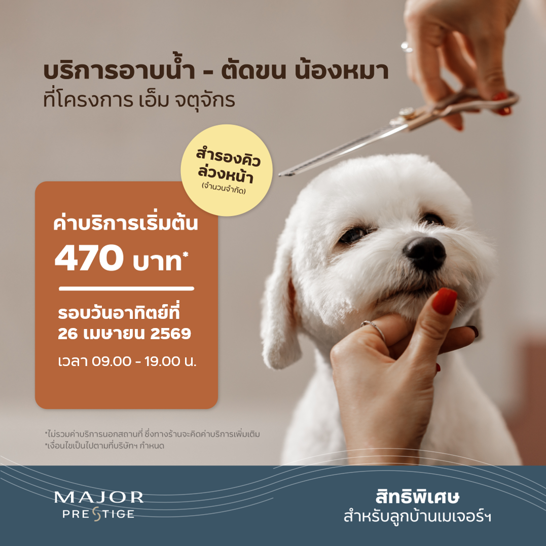 petgrooming_mjj_apr26