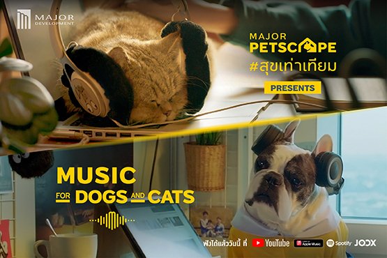 0.-สุขเท่าเทียม-KV-Equafi-music-for-Dog---Cat-Cover-web-blog.jpg