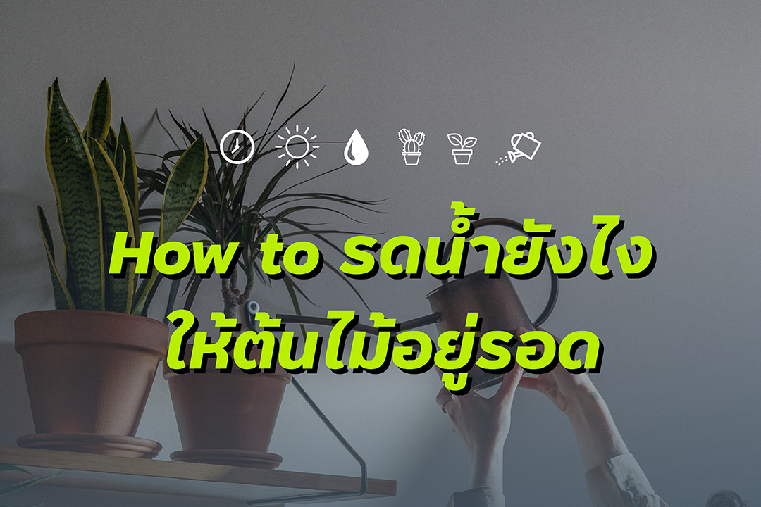 210610-เธฃเธ-เธ-เน-เธณเธขเธฑเธ-เน-เธ--เน-เธซเน-เธ-เน-เธ-เน-เธกเน-เธญเธขเธนเน-เธฃเธญเธ-_Cover-Blog.jpg