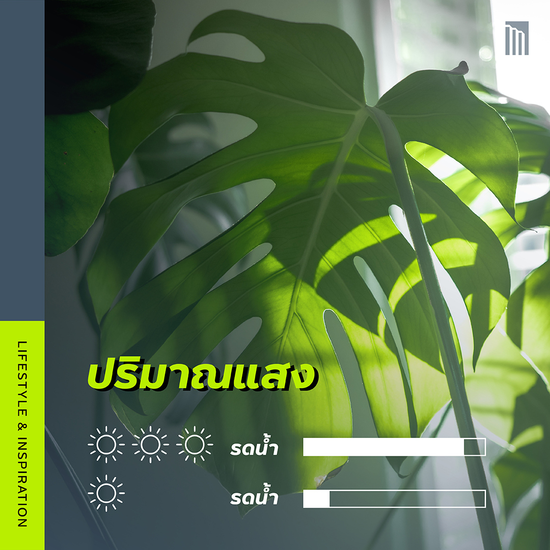 210610-เธฃเธ-เธ-เน-เธณเธขเธฑเธ-เน-เธ--เน-เธซเน-เธ-เน-เธ-เน-เธกเน-เธญเธขเธนเน-เธฃเธญเธ-_FB-Inside-1.2.jpg