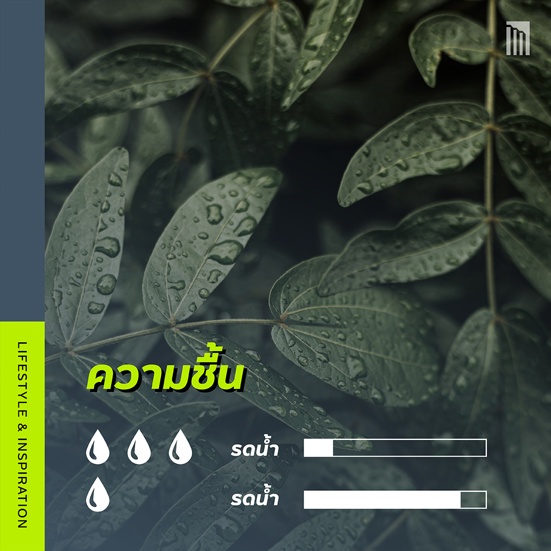 210610-เธฃเธ-เธ-เน-เธณเธขเธฑเธ-เน-เธ--เน-เธซเน-เธ-เน-เธ-เน-เธกเน-เธญเธขเธนเน-เธฃเธญเธ-_FB-Inside-1.3.jpg
