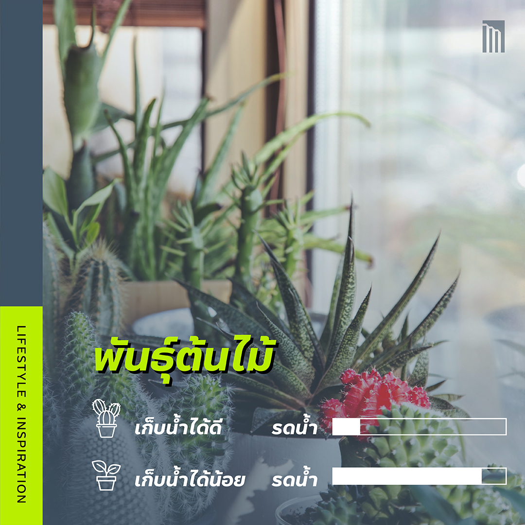 210610-เธฃเธ-เธ-เน-เธณเธขเธฑเธ-เน-เธ--เน-เธซเน-เธ-เน-เธ-เน-เธกเน-เธญเธขเธนเน-เธฃเธญเธ-_FB-Inside-1.4.jpg