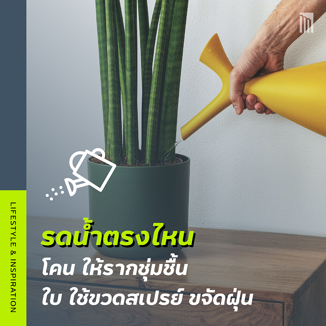 210610-เธฃเธ-เธ-เน-เธณเธขเธฑเธ-เน-เธ--เน-เธซเน-เธ-เน-เธ-เน-เธกเน-เธญเธขเธนเน-เธฃเธญเธ-_FB-Inside-1.5.jpg
