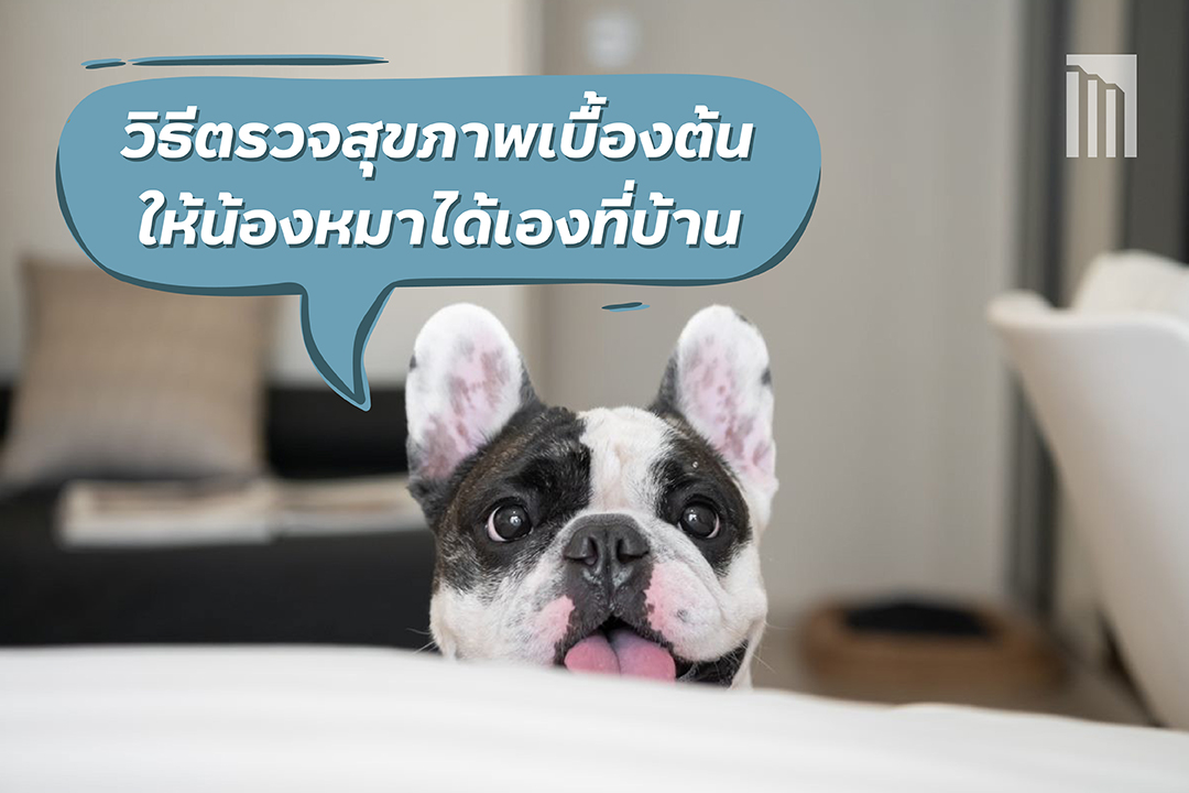 210617-Cover-Blog.jpg