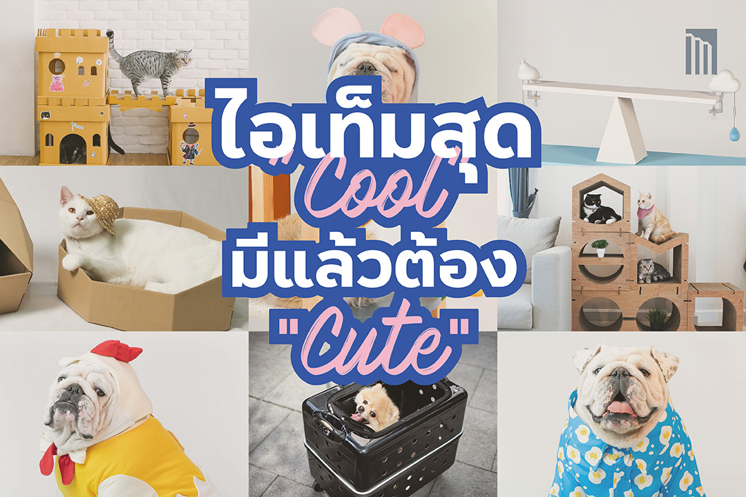 210622-ไอเทมสุดคูลมีแล้วต้องคิ้ว_FB-Cover-1_0.1.jpg