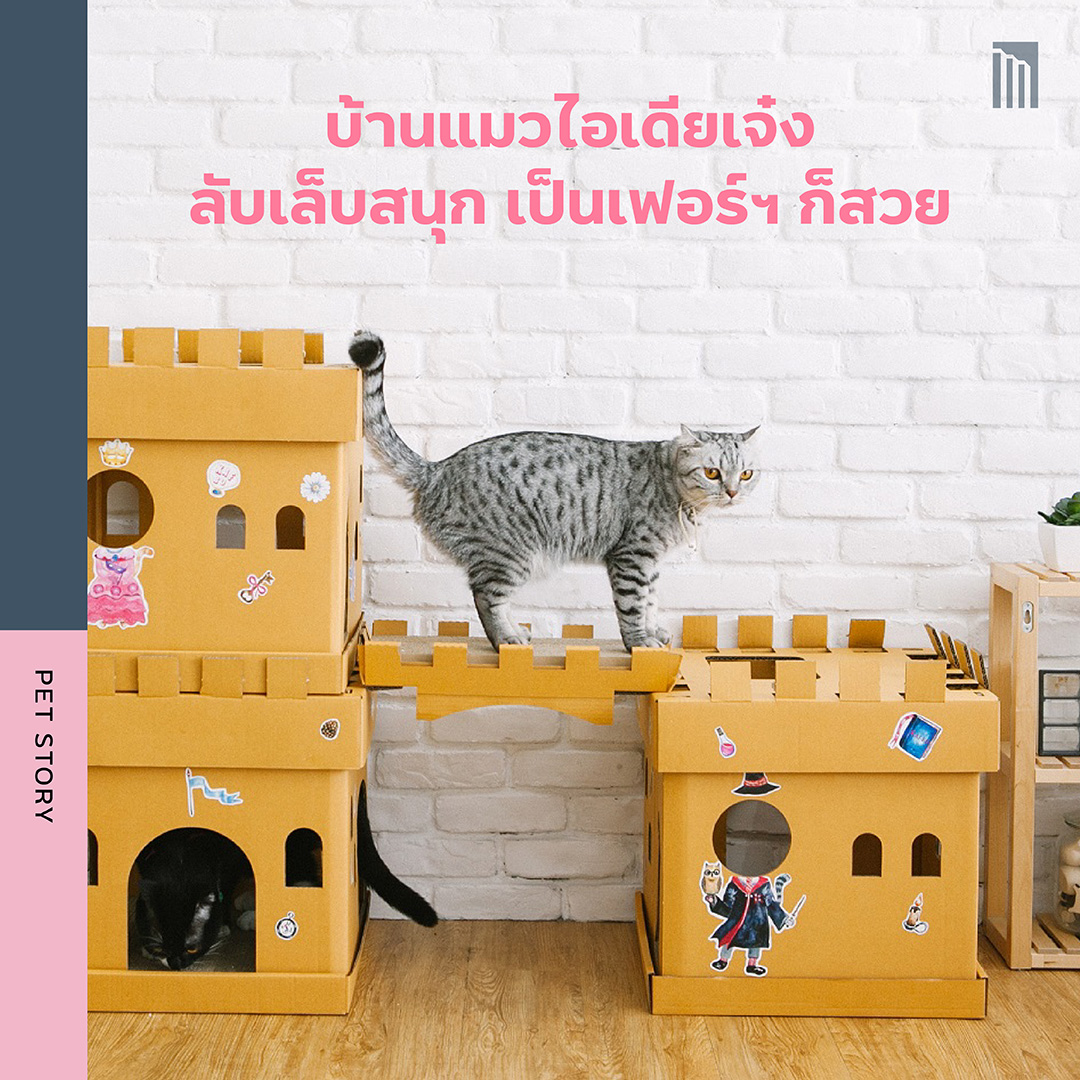 210622-ไอเทมสุดคูลมีแล้วต้องคิ้ว_FB-Inside-1.2.jpg