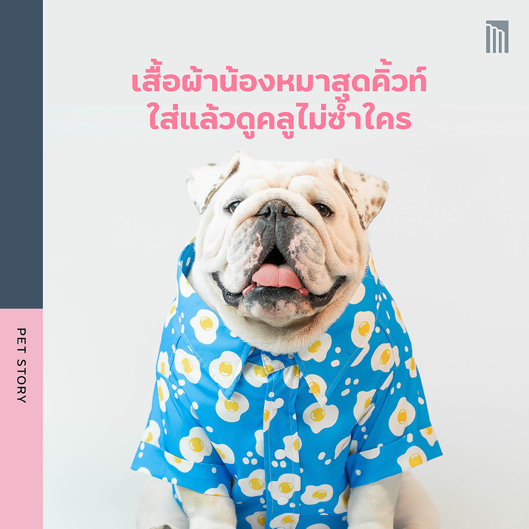 210622-ไอเทมสุดคูลมีแล้วต้องคิ้ว_FB-Inside-1.3.jpg