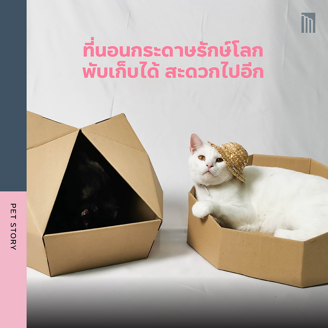 210622-ไอเทมสุดคูลมีแล้วต้องคิ้ว_FB-Inside-1.4.jpg