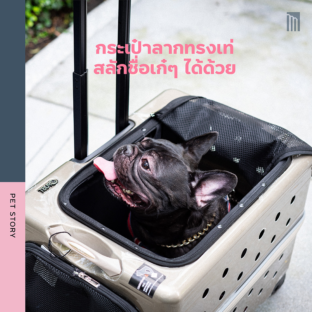 210622-ไอเทมสุดคูลมีแล้วต้องคิ้ว_FB-Inside-1.6.jpg