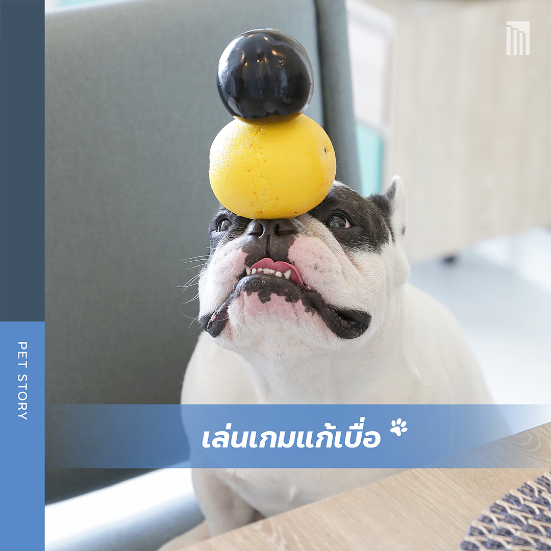 210827-_FB-Inside-1.2-copy-2.jpg