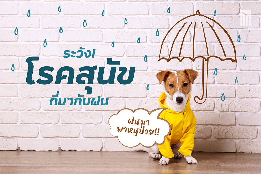 210901-เธฃเธฐเธงเธฑเธ---5-เน-เธฃเธ-เธชเธธเธ-เธฑเธ-เธ-เธตเน-เธกเธฒเธ-เธฑเธ-เธ-เธ-_FB-Cover-1.1.jpg