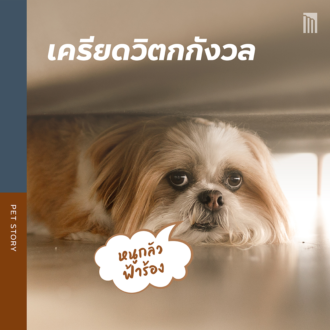 210901-เธฃเธฐเธงเธฑเธ---5-เน-เธฃเธ-เธชเธธเธ-เธฑเธ-เธ-เธตเน-เธกเธฒเธ-เธฑเธ-เธ-เธ-_FB-Inside-1.2.jpg