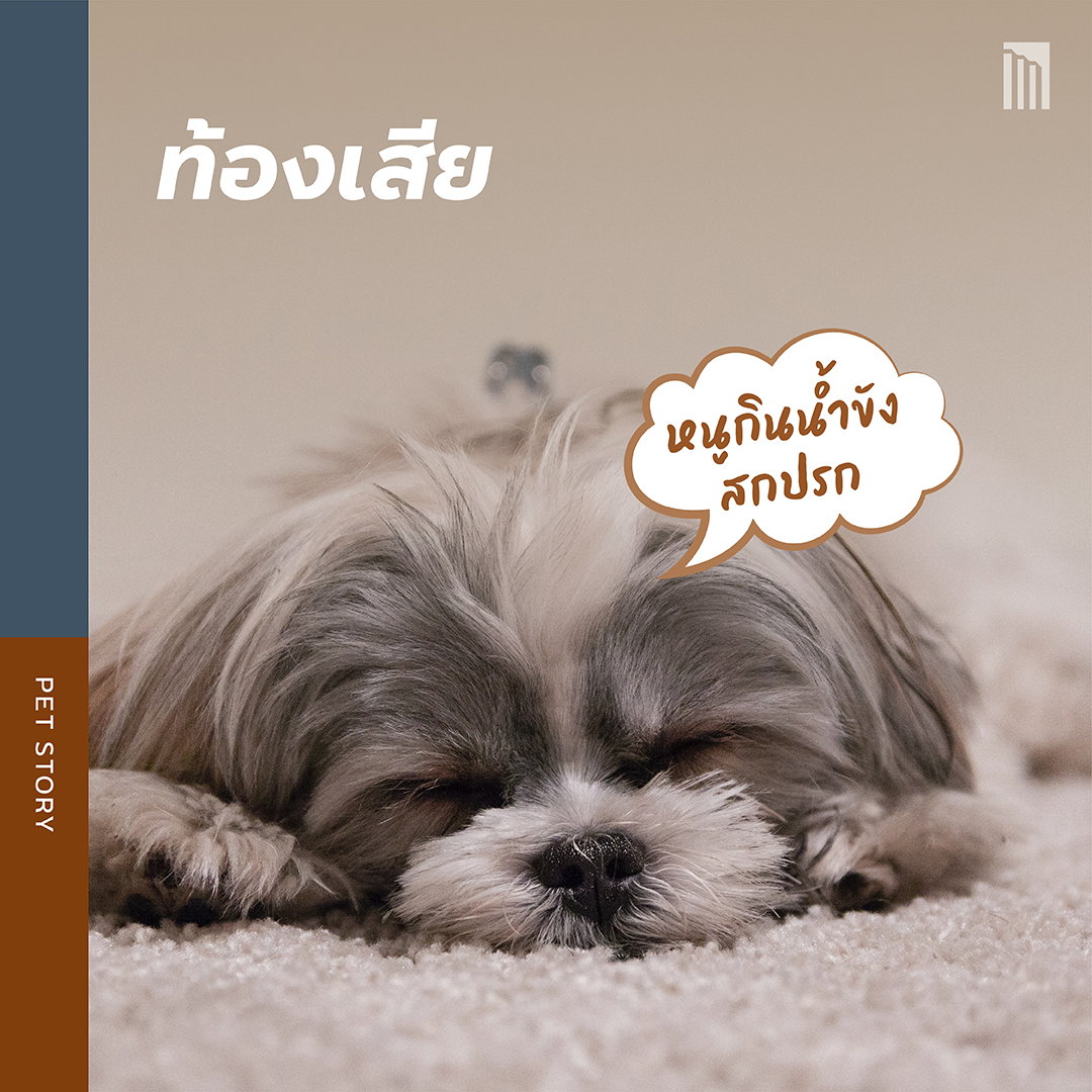 210901-เธฃเธฐเธงเธฑเธ---5-เน-เธฃเธ-เธชเธธเธ-เธฑเธ-เธ-เธตเน-เธกเธฒเธ-เธฑเธ-เธ-เธ-_FB-Inside-1.3.jpg