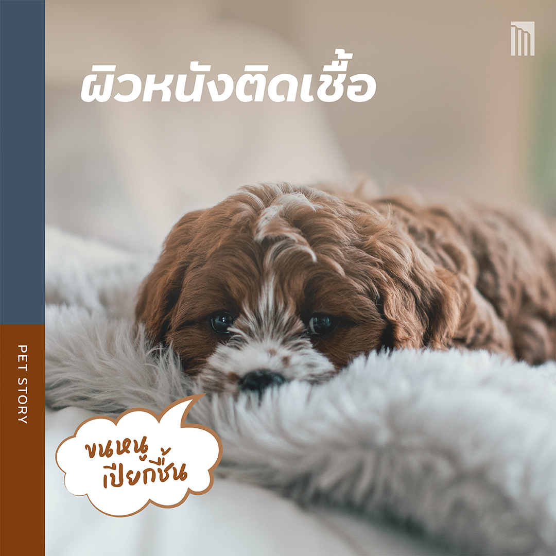 210901-เธฃเธฐเธงเธฑเธ---5-เน-เธฃเธ-เธชเธธเธ-เธฑเธ-เธ-เธตเน-เธกเธฒเธ-เธฑเธ-เธ-เธ-_FB-Inside-1.4.jpg