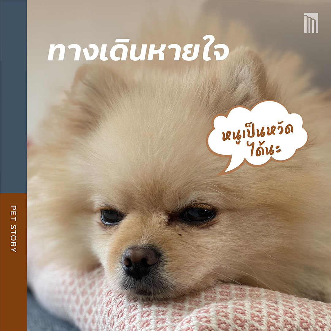 210901-เธฃเธฐเธงเธฑเธ---5-เน-เธฃเธ-เธชเธธเธ-เธฑเธ-เธ-เธตเน-เธกเธฒเธ-เธฑเธ-เธ-เธ-_FB-Inside-1.5-copy.jpg