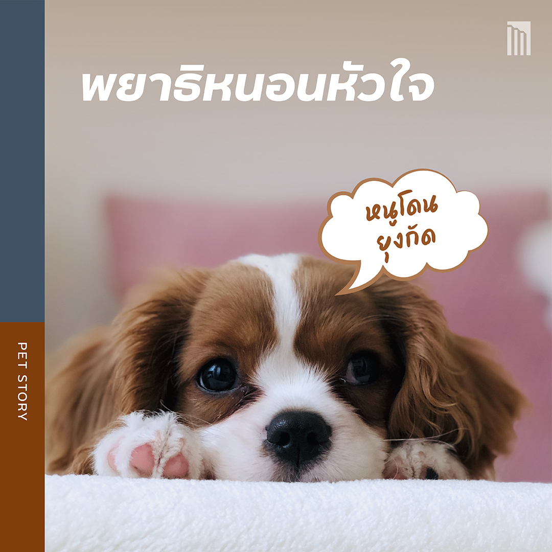 210901-เธฃเธฐเธงเธฑเธ---5-เน-เธฃเธ-เธชเธธเธ-เธฑเธ-เธ-เธตเน-เธกเธฒเธ-เธฑเธ-เธ-เธ-_FB-Inside-1.5.jpg