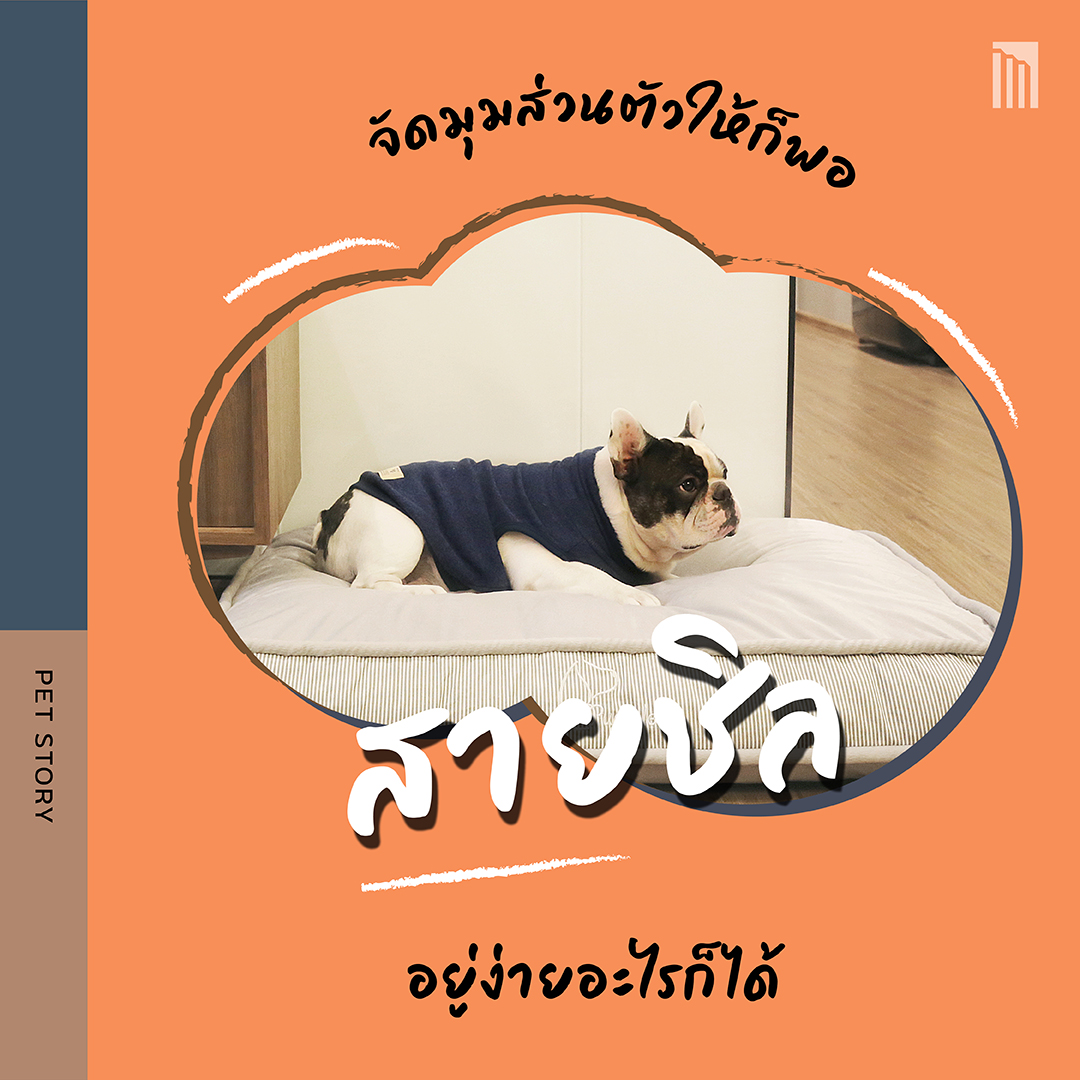 211021-ดีไซน์บ้านตามนิสัยน้องหมา_FB-Inside-1.2.jpg