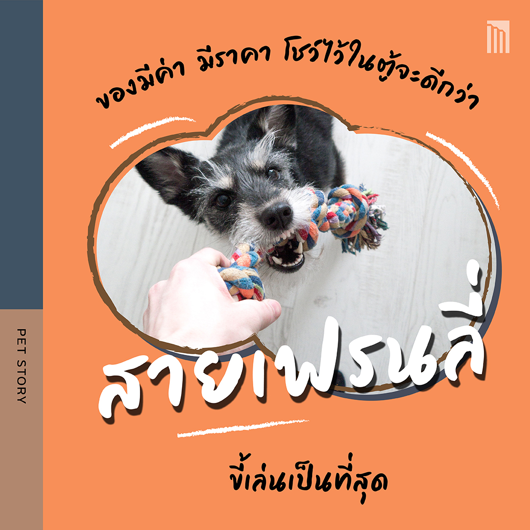 211021-ดีไซน์บ้านตามนิสัยน้องหมา_FB-Inside-1.3.jpg
