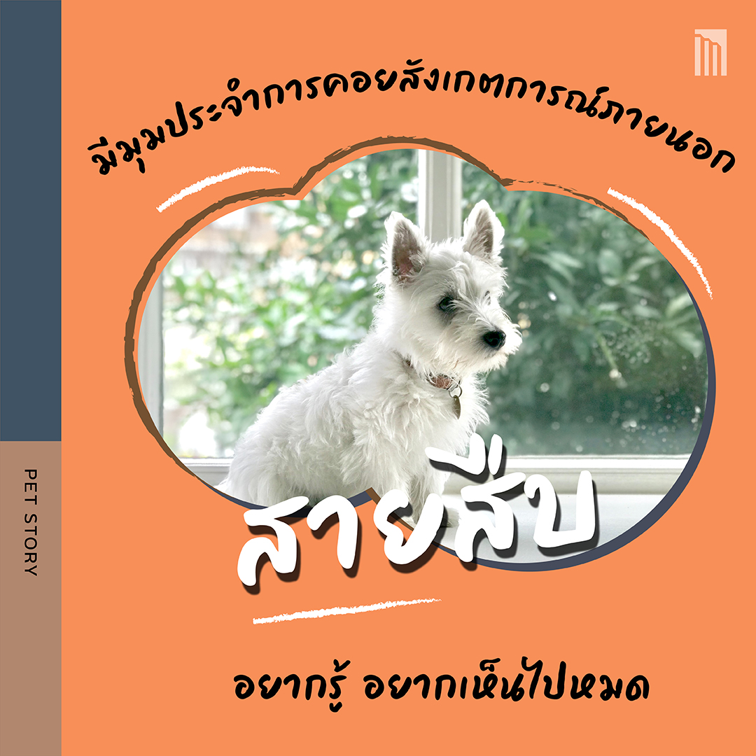 211021-ดีไซน์บ้านตามนิสัยน้องหมา_FB-Inside-1.4.jpg