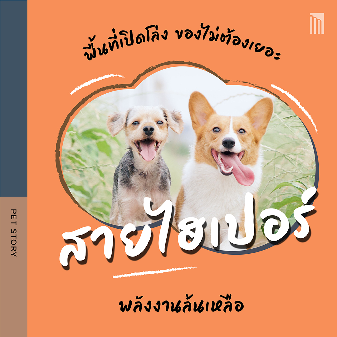 211021-ดีไซน์บ้านตามนิสัยน้องหมา_FB-Inside-1.5.jpg