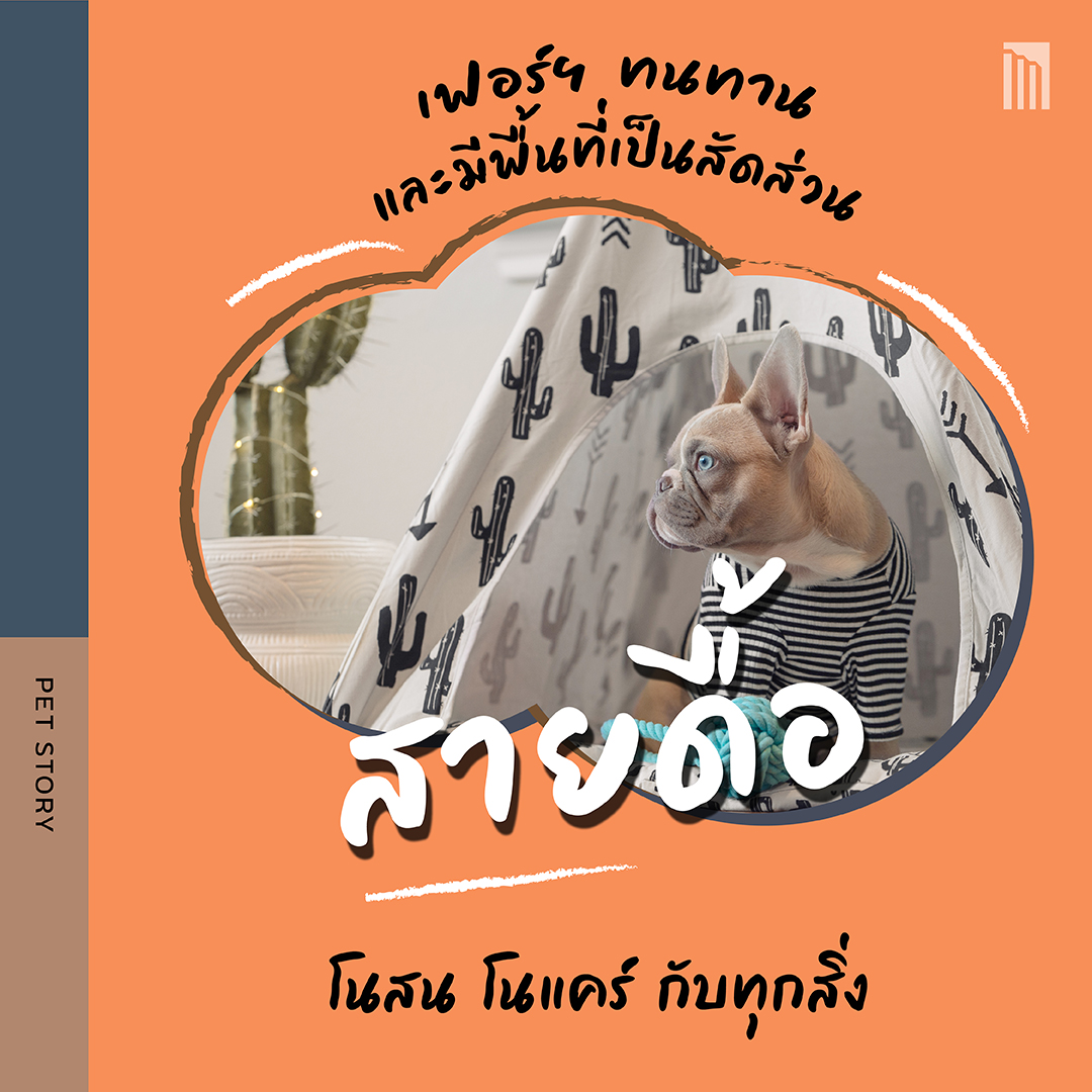 211021-ดีไซน์บ้านตามนิสัยน้องหมา_FB-Inside-1.6.jpg