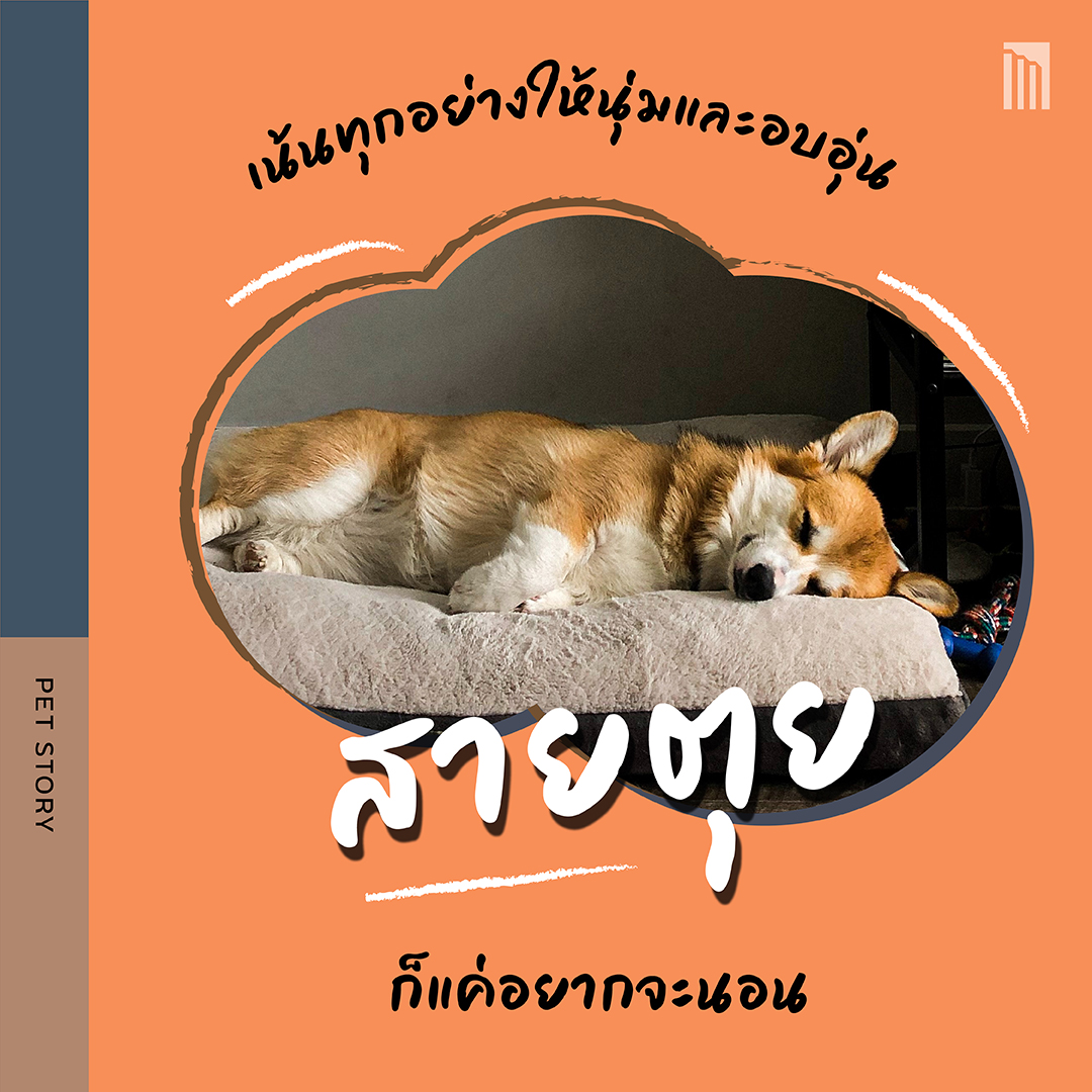 211021-ดีไซน์บ้านตามนิสัยน้องหมา_FB-Inside-1.7.jpg