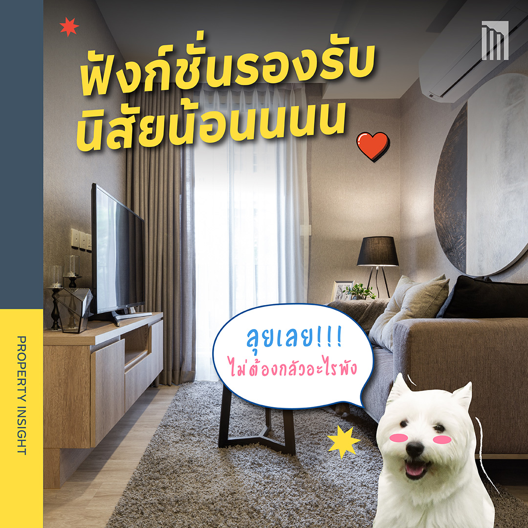 220810-Petscape-สนุกเต็มที่ได้ทุกวันกับสัตว์เลี้ยง_facebook-2.jpg