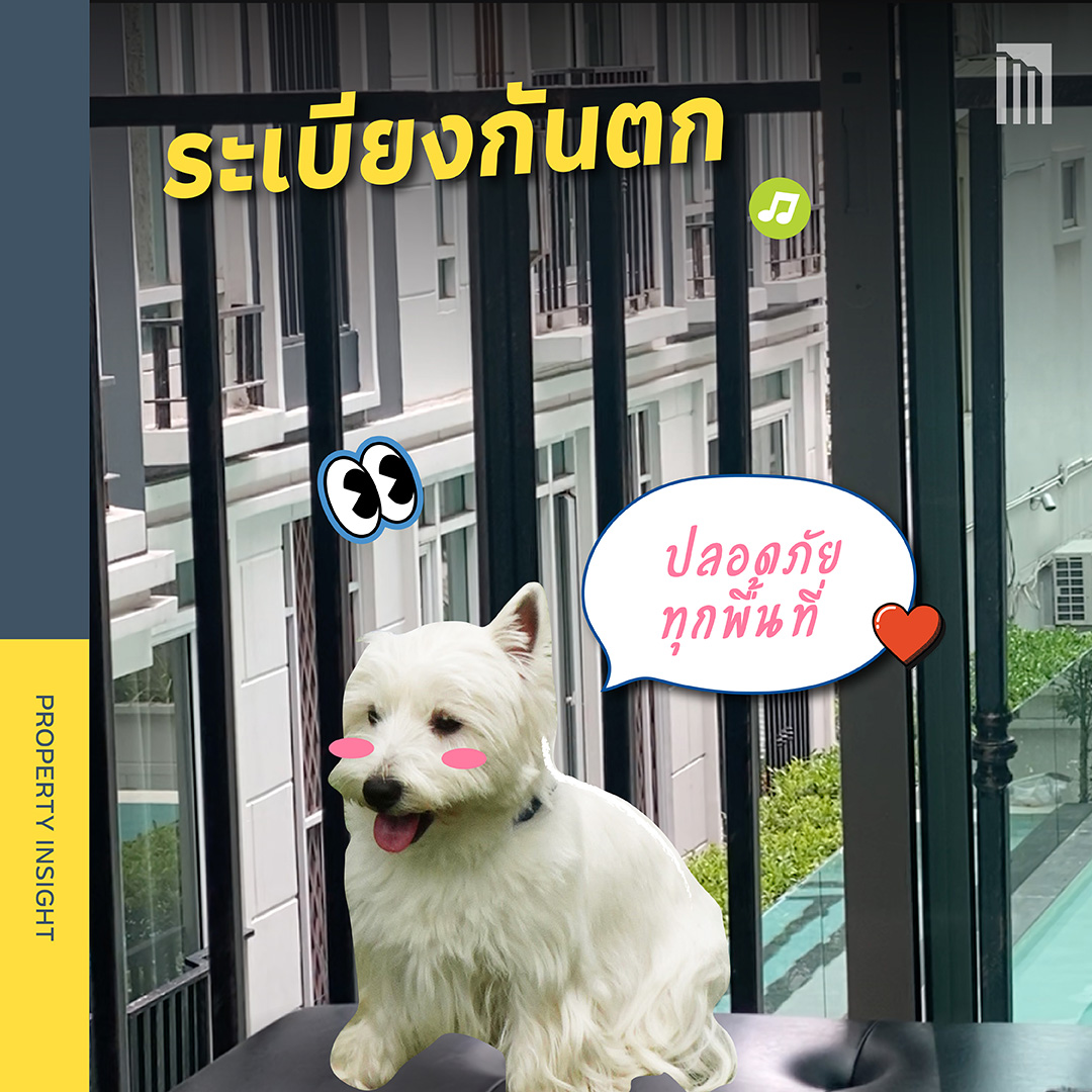 220810-Petscape-สนุกเต็มที่ได้ทุกวันกับสัตว์เลี้ยง_facebook-5.jpg