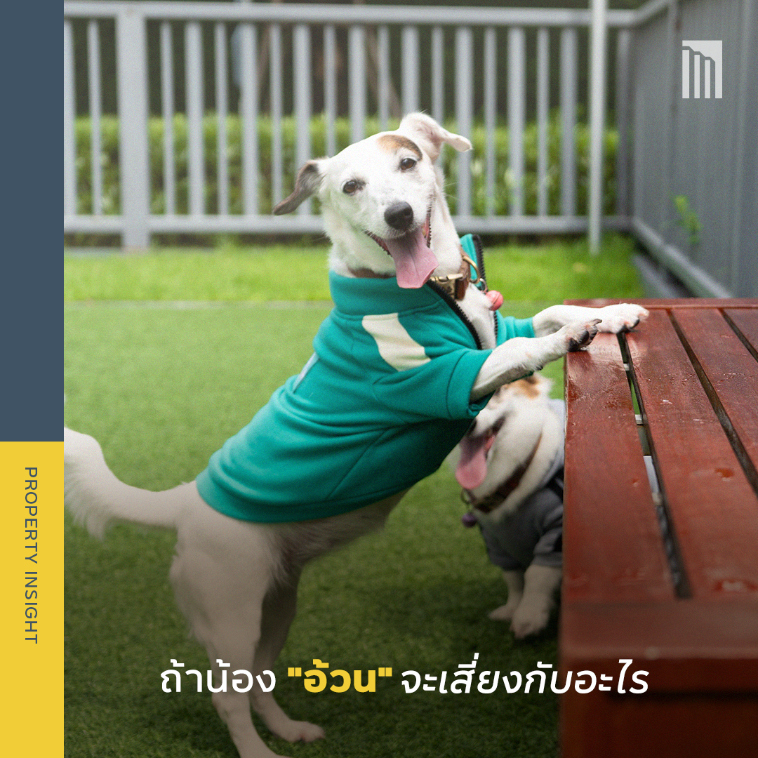 221018_Content_โรคอ้วน_FB01.png