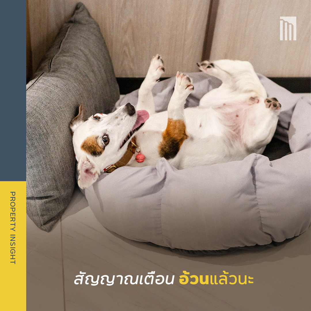 221018_Content_โรคอ้วน_FB02.png