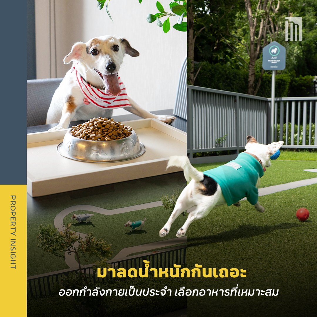 221018_Content_โรคอ้วน_FB03.png
