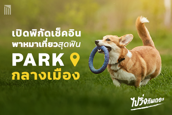 221025_Content_DogPark_Blog01.png