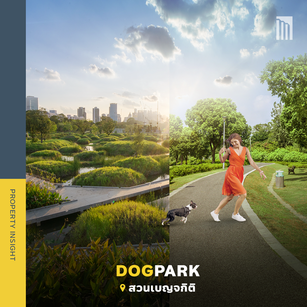 221025_Content_DogPark_FB02.png