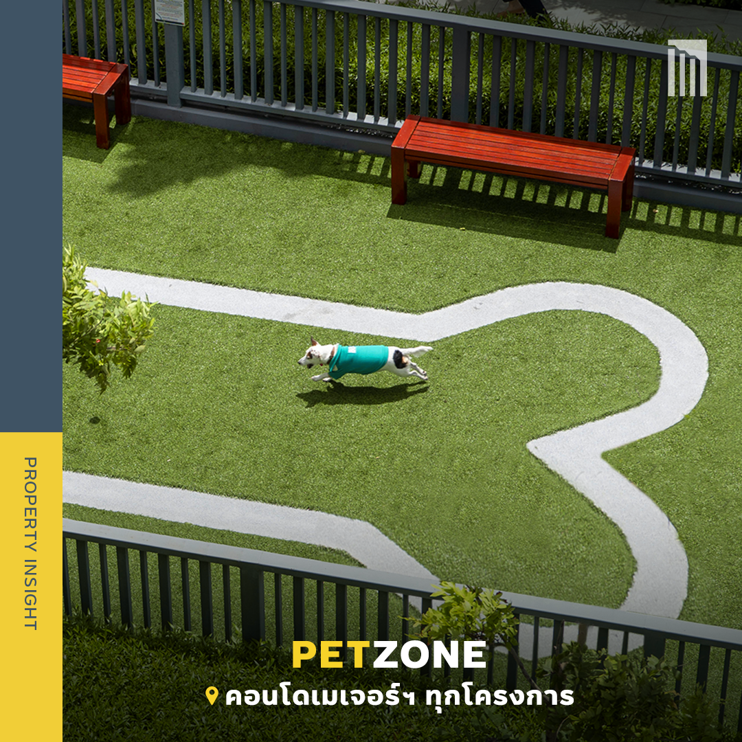 221025_Content_DogPark_FB03.png