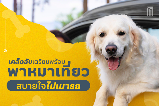 221111_Content_เคล็ดลับเตรียมความพร้อม_Blog01.png