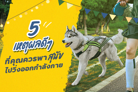 221124_Content_DogDay_Blog01.png