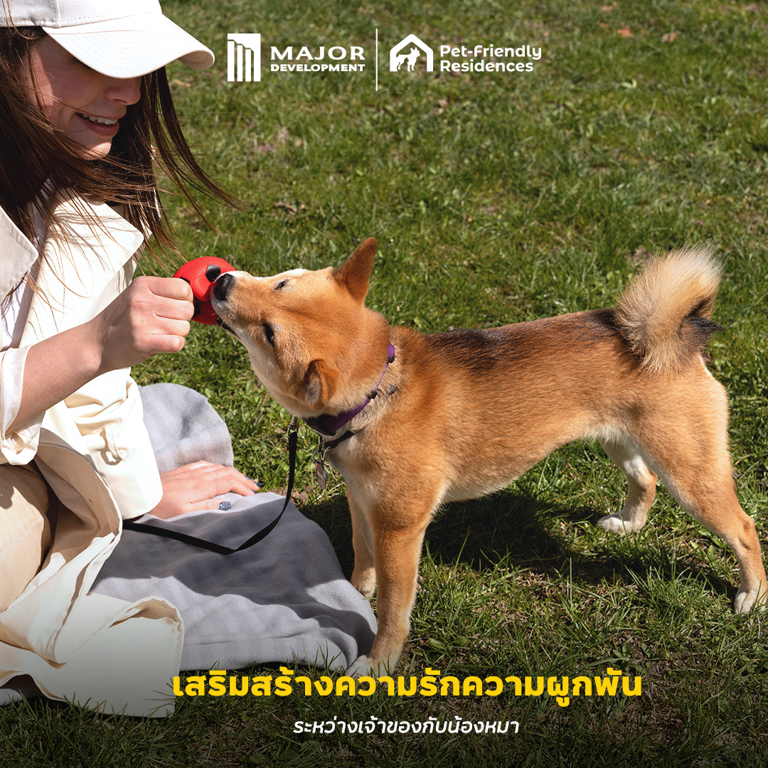 221124_Content_DogDay_FB02.png