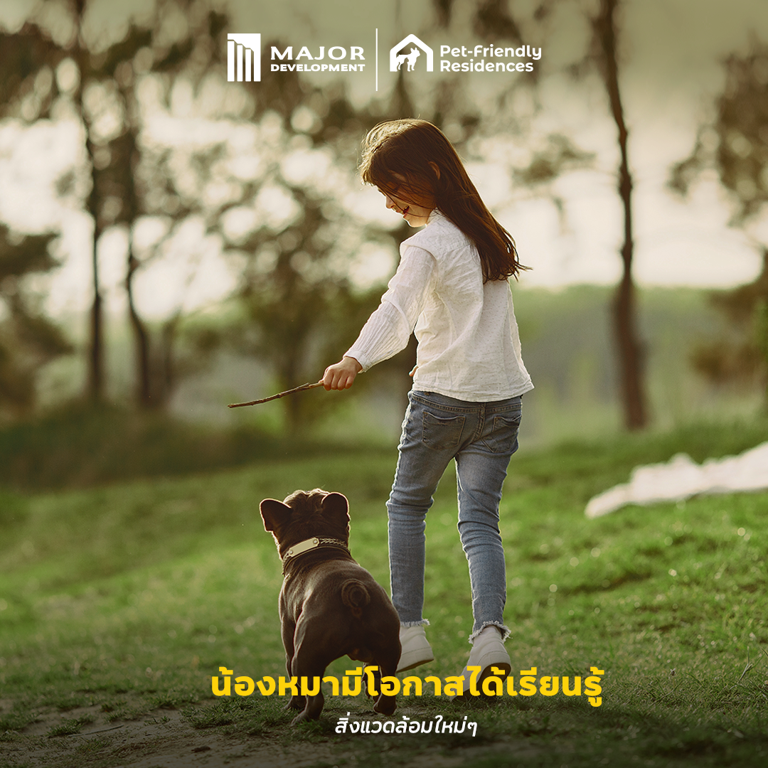 221124_Content_DogDay_FB03.png
