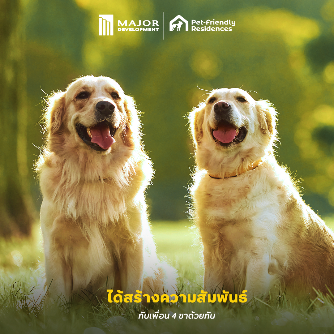 221124_Content_DogDay_FB04.png