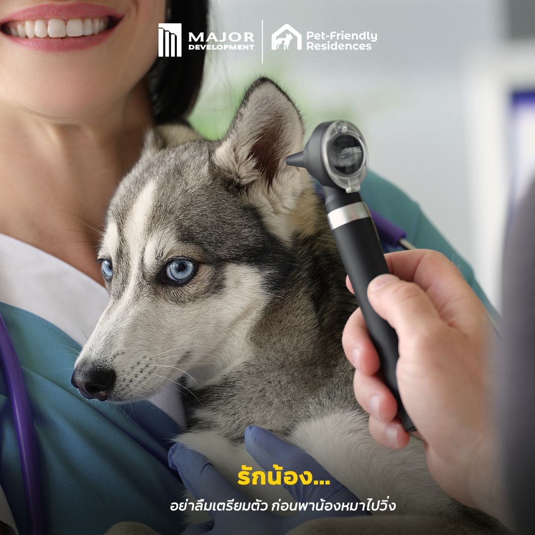 221124_Content_DogDay_FB06.png