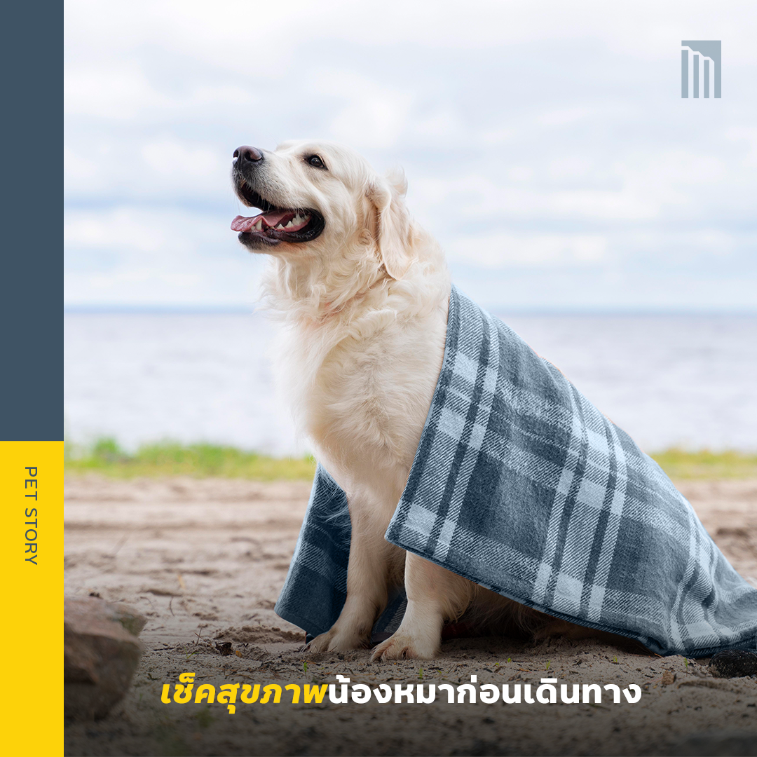 221124_Content_เคล็ดลับเตรียมความพร้อม_FB02.png